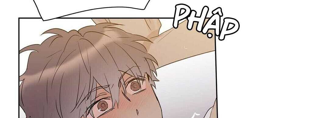 guide cấp b chapter 41 200