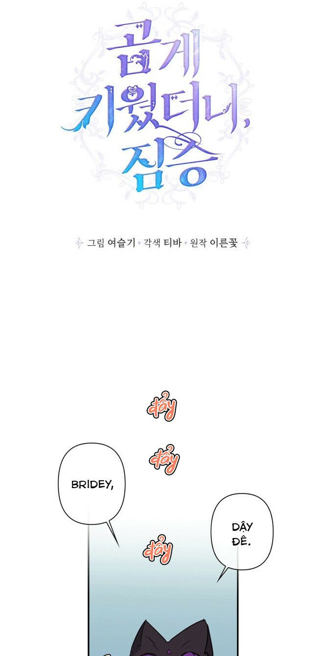 tôi đang nuôi dưỡng một con quái thú chapter 23 1