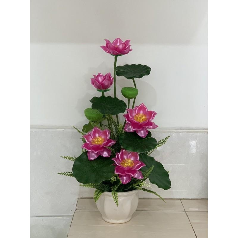 Hoa sen cao 55cm