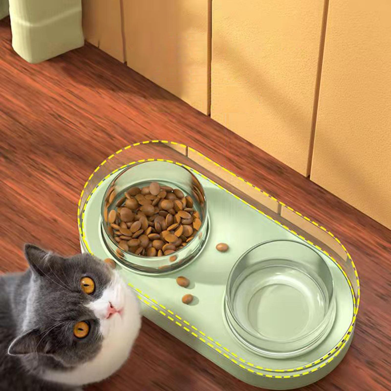 Glass Double Cat Water and Food Bowls Pet Feeder Waterer Pet Dispenser