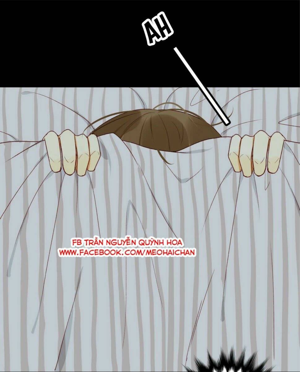 điều giáo quan hệ chapter 4 4