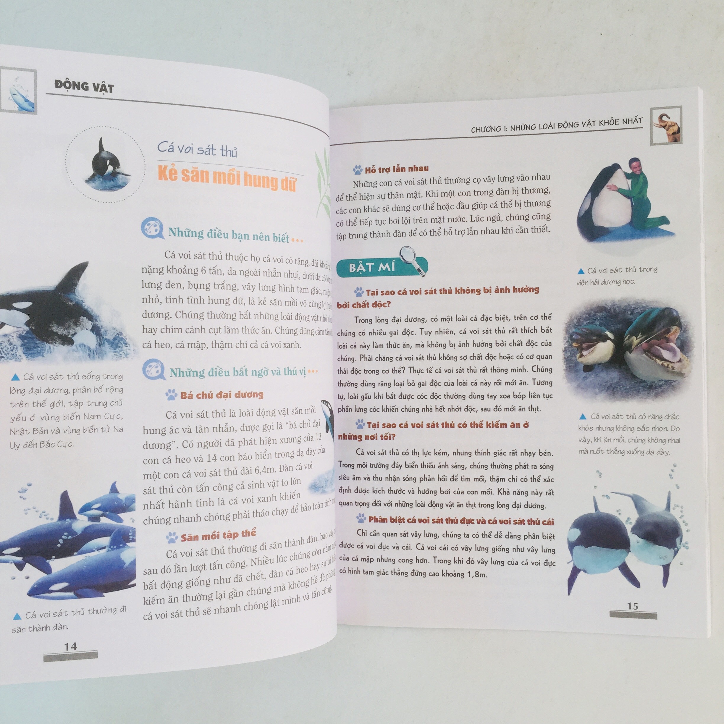 Khám Phá Bí Ẩn Thế Giới Tự Nhiên Dành Cho Học Sinh – Boxset 5 cuốn