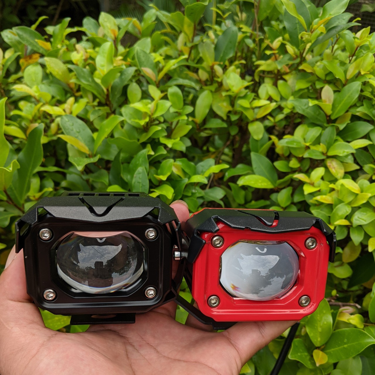 Đèn bi cầu 2 màu cốt vàng pha trắng F20xp 60w siêu sáng chống nước dành cho khách vip