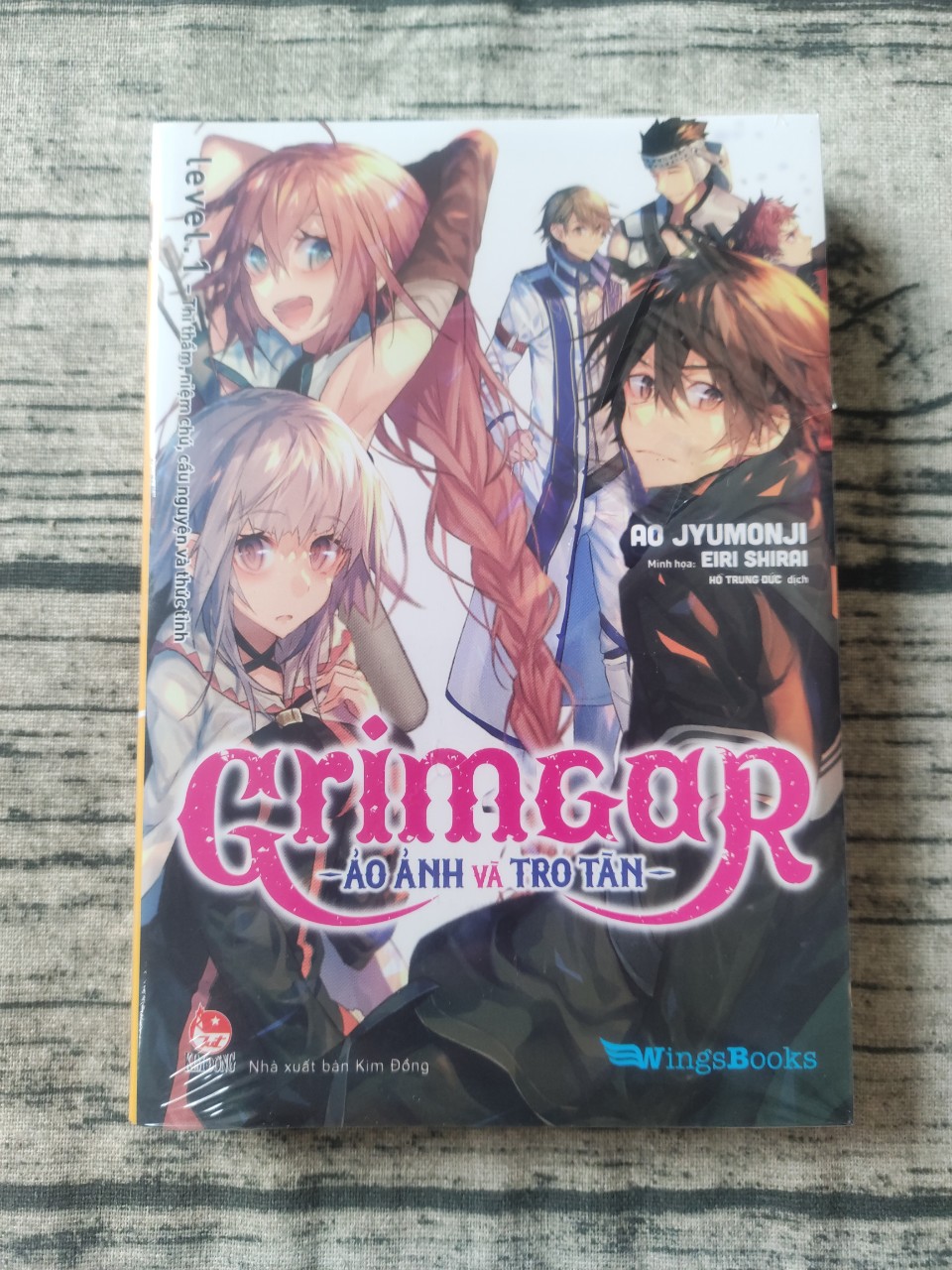 Grimgar - Ảo ảnh và tro tàn - Tập 1