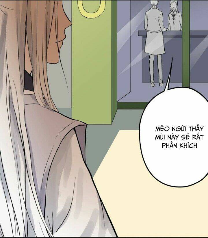 nguyệt ẩn thần chapter 4 6