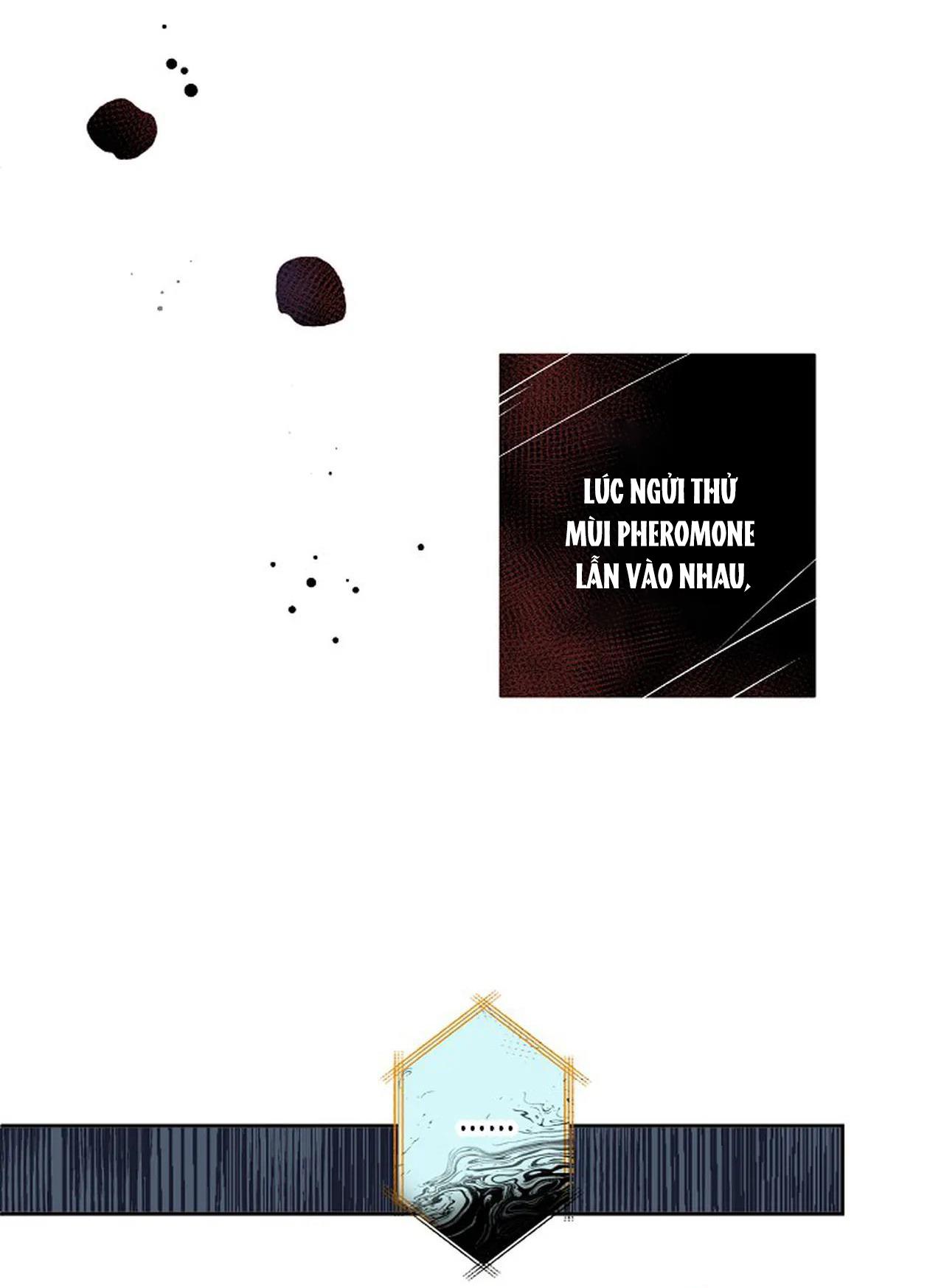 đêm dịu dàng chapter 16 20