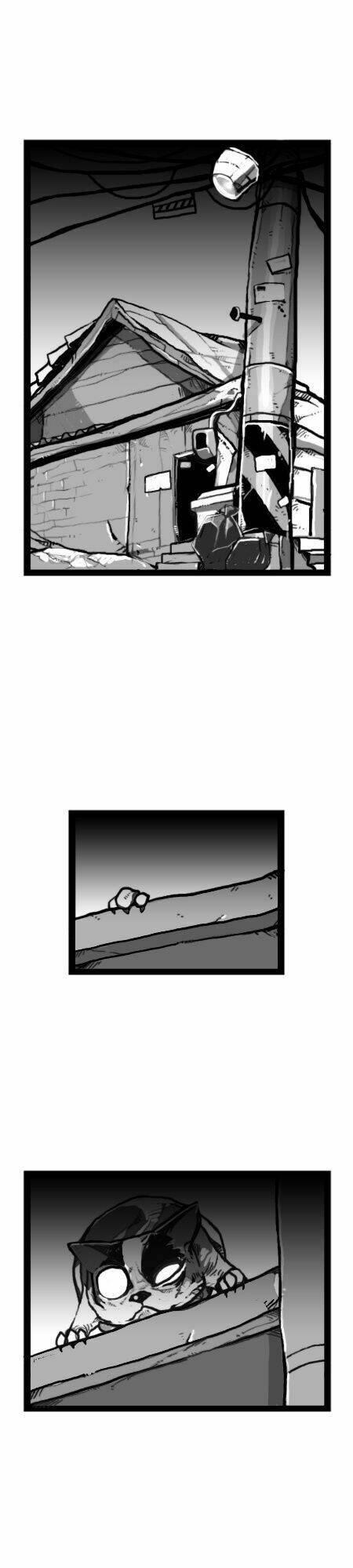 earth, human, and animal chapter 21 4