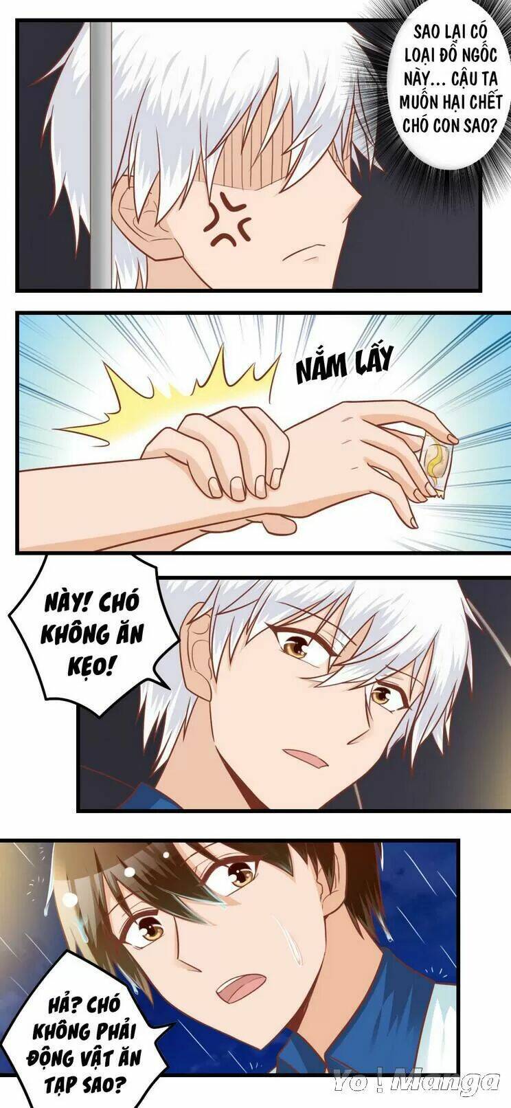 tôi là vợ tôi chapter 83 8