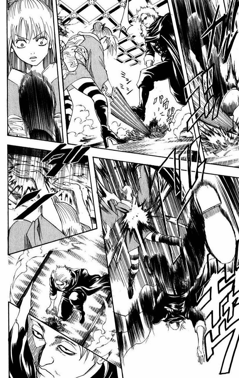 gintama - linh hồn bạc chapter 218 10