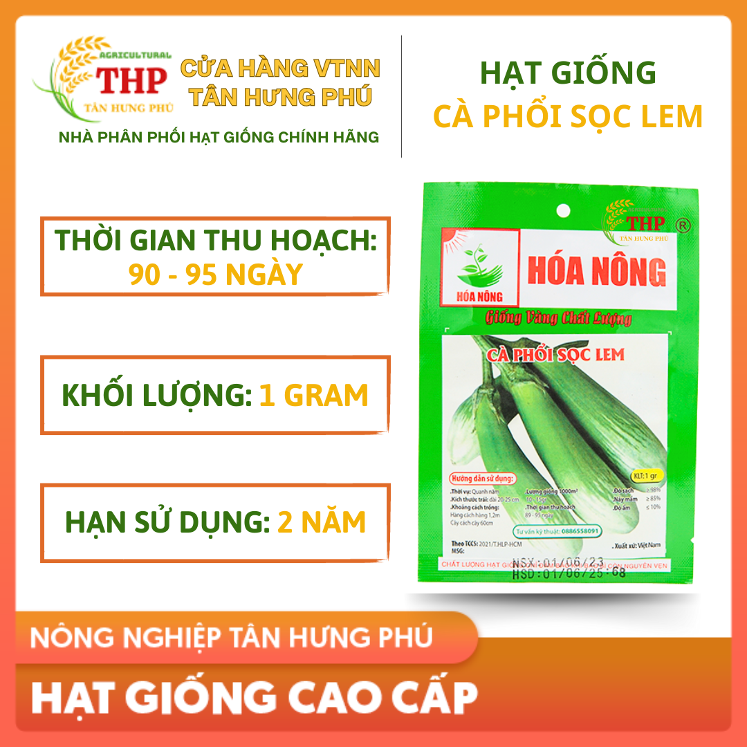 Hạt giống Cà Phổi Sọc Lem | Hạt Giống | gói 1gr