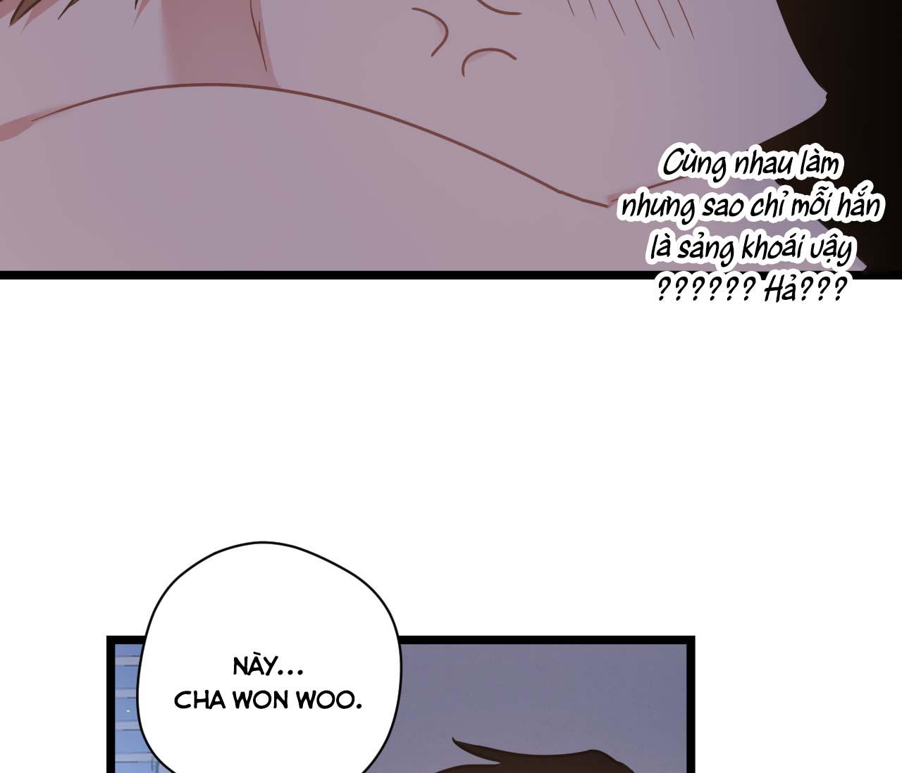 tình yêu bình dị nhất chapter 22 81