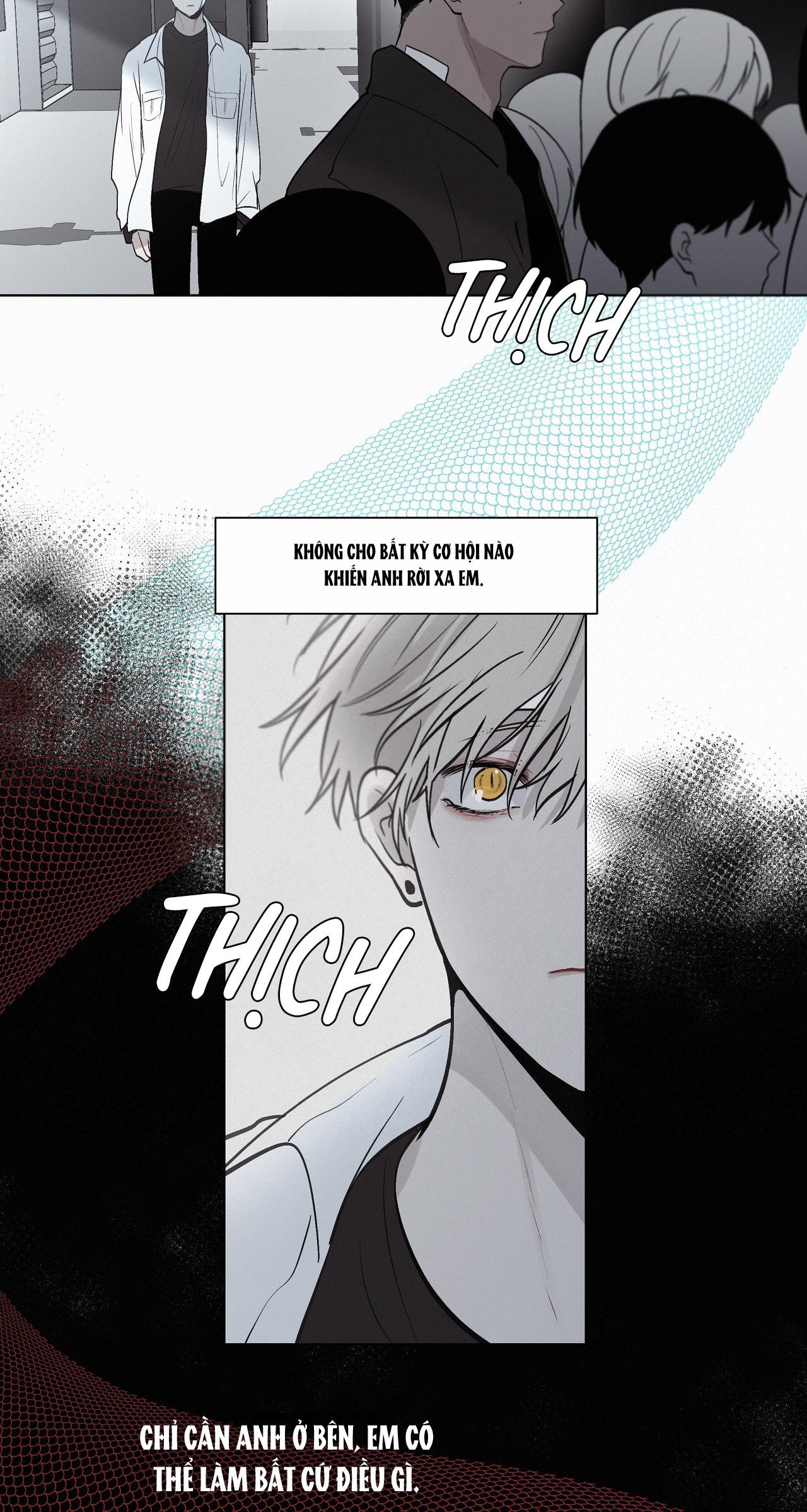 hiến tế máu chapter 49 19