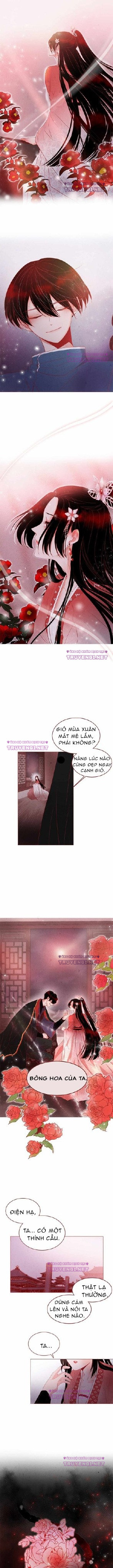 rắn có ăn hoa không? chapter 0 5