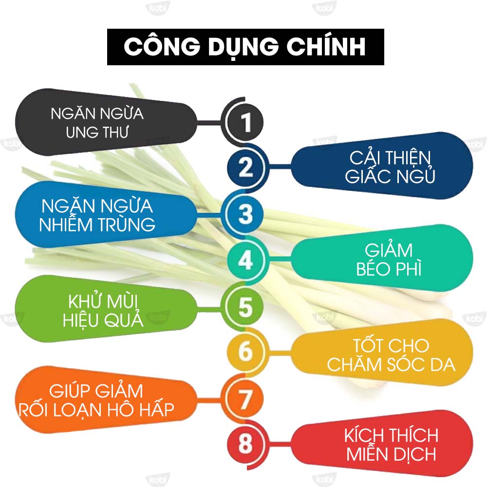 Tinh Dầu Sả Chanh Đuổi Muỗi Kobi, Dùng Lau Sàn Nhà, Giúp Khử Mùi, Thơm Phòng (50ml) - 