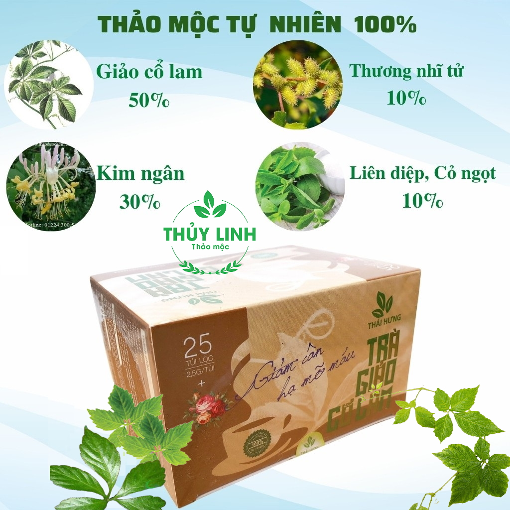 Combo 04 Hộp Trà thảo dược cao cấp Thái Hưng: GIẢO CỔ LAM (25 túi lọc 2,5g)