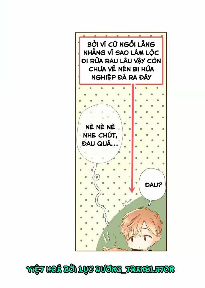 Tình yêu là màu hoa anh thảo chapter 28.1 47