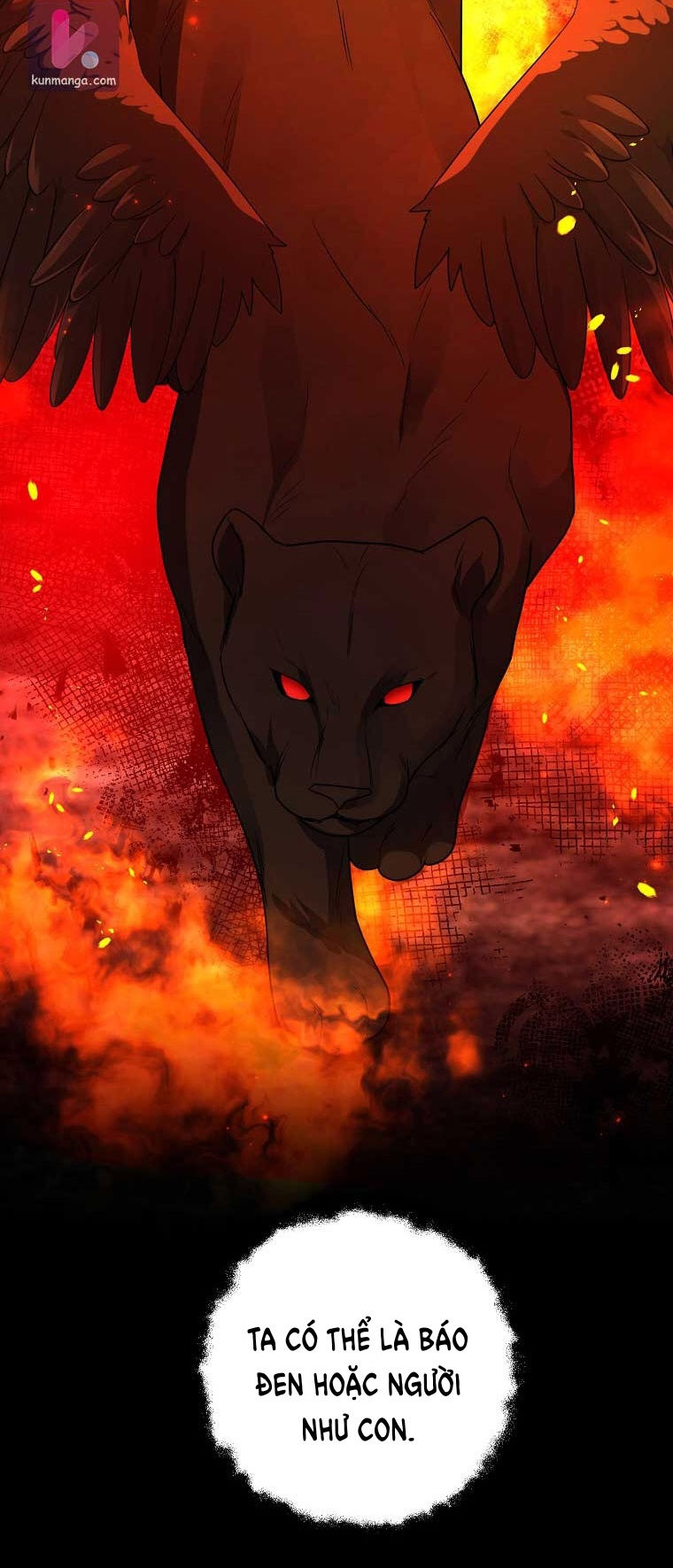 tôi là tiểu thư của gia đình này chapter 143 19