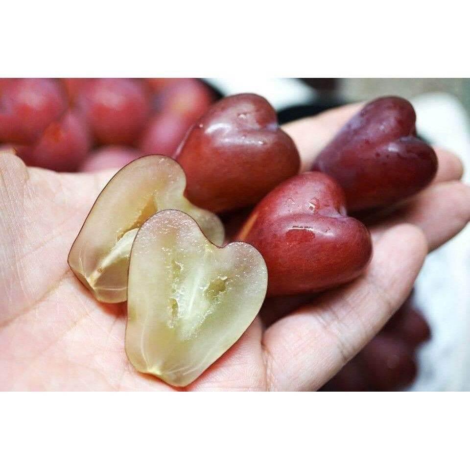 Cây Nho Giống Trái Tim Đã Ghép Nhật Bản
