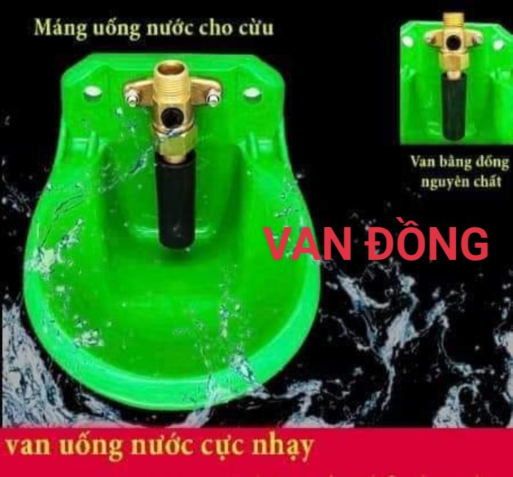 Máng uống nước tự động cho dê cừu