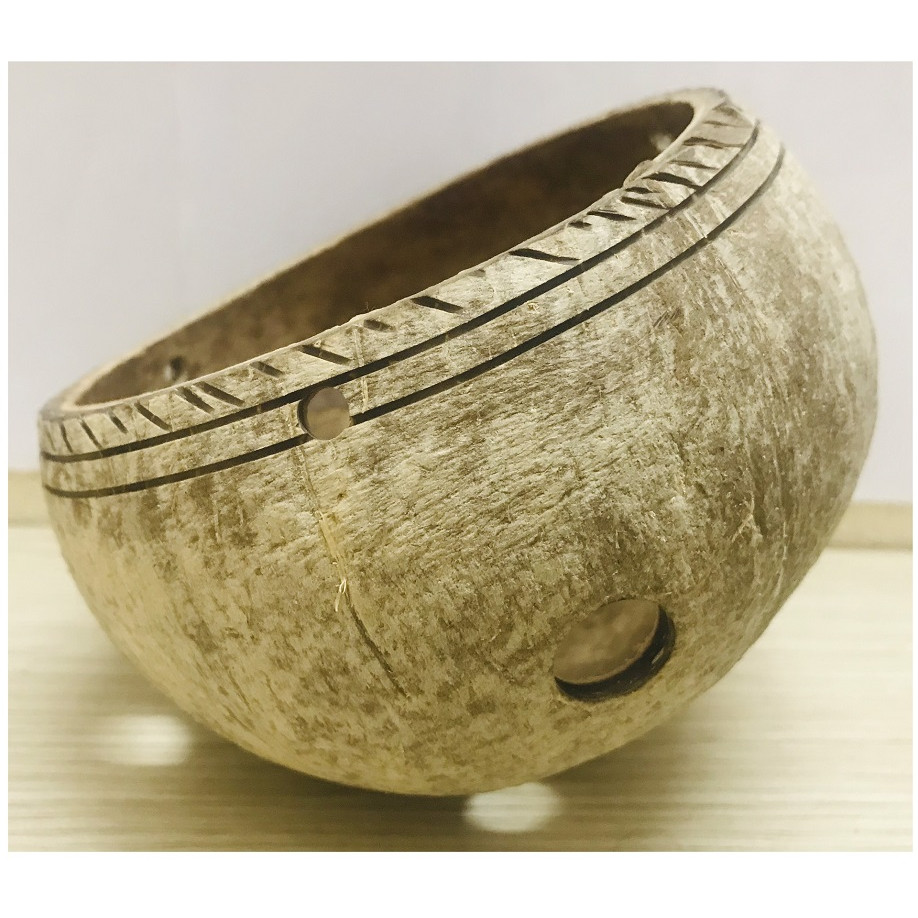 10 Gáo Dừa Trồng Hoa Cây Cảnh