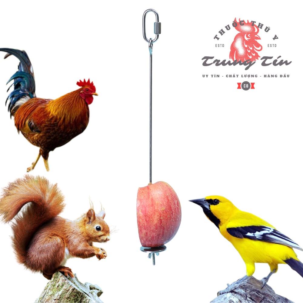 Dụng cụ gim thức ăn , trái cây dành cho chim , sóc , gà , thú cưng nhỏ thép không gỉ