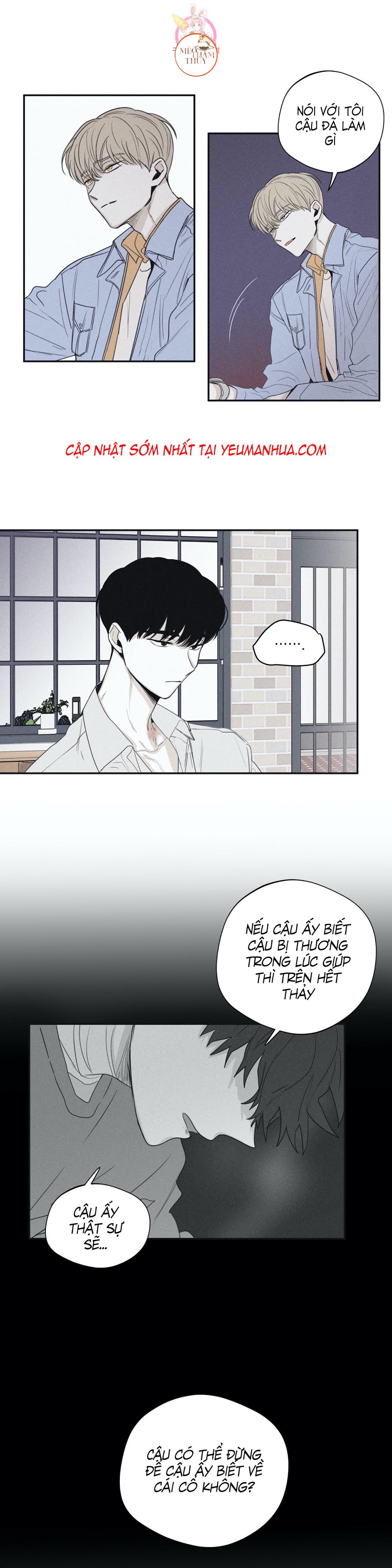 chiếu tướng chapter 24 11