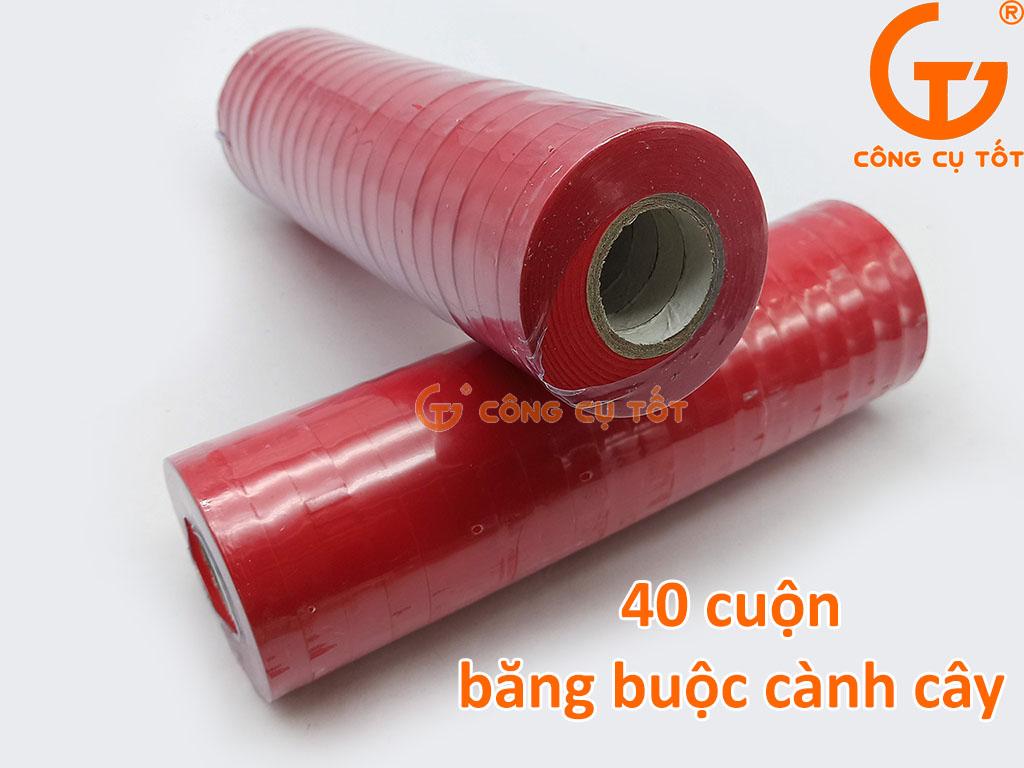 Bộ 2 hộp ghim và 2 cây băng buộc cành cây