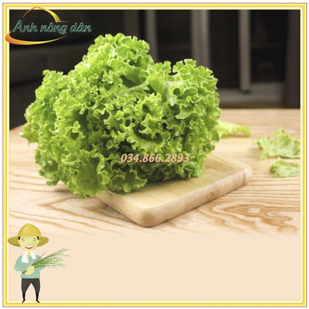 Gói 5g Hạt giống rau xà lách xoăn xanh dể trồng dễ chăm sóc