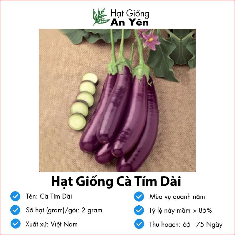 Hạt giống Cà Tím Dài thu hoạch sớm, dễ trồng, nảy mầm cao, sinh trưởng khoẻ