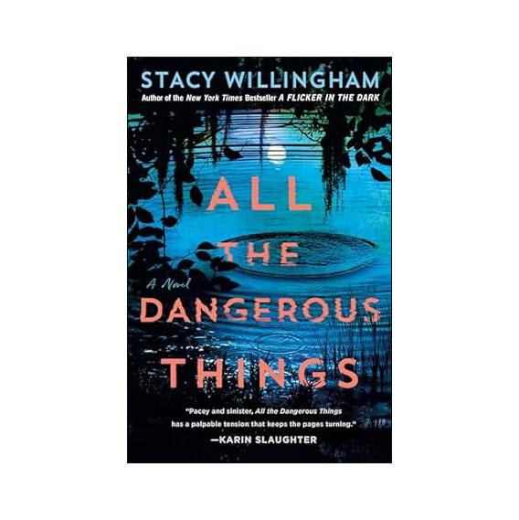 All the Dangerous Things: A Novel