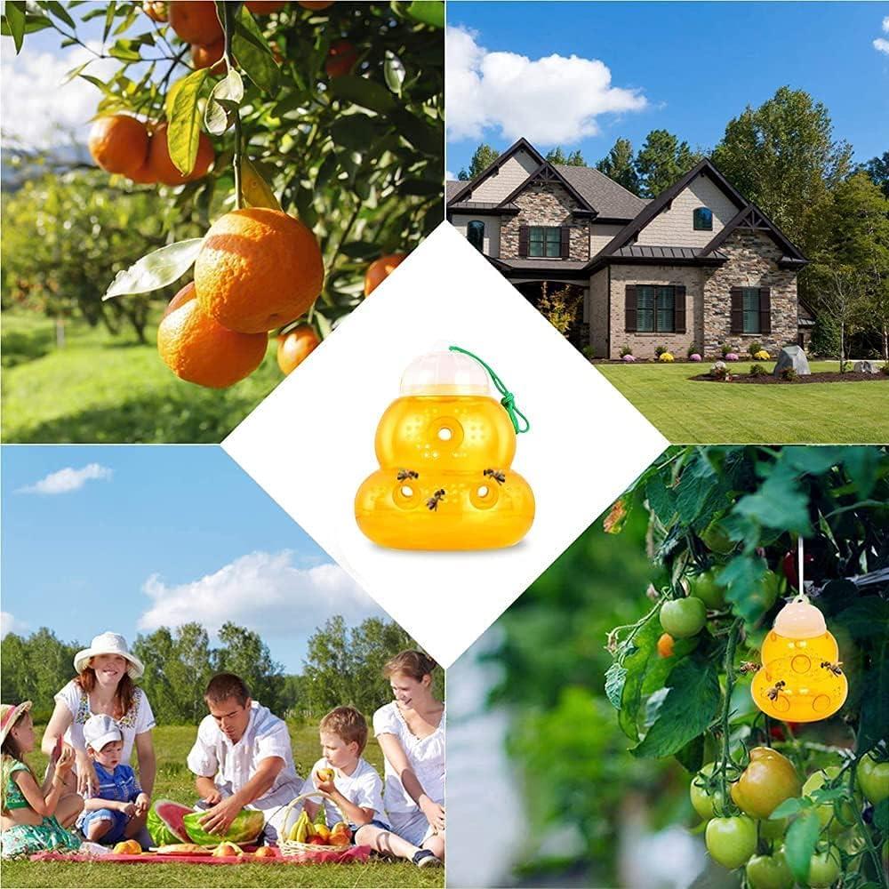 Bẫy bị bẫy, bộ 2 con ong bắt, bẫy Hornet để treo, bắt, bẫy trái cây có thể tháo rời và có thể tái sử dụng, để treo hoặc sử dụng ngoài trời.