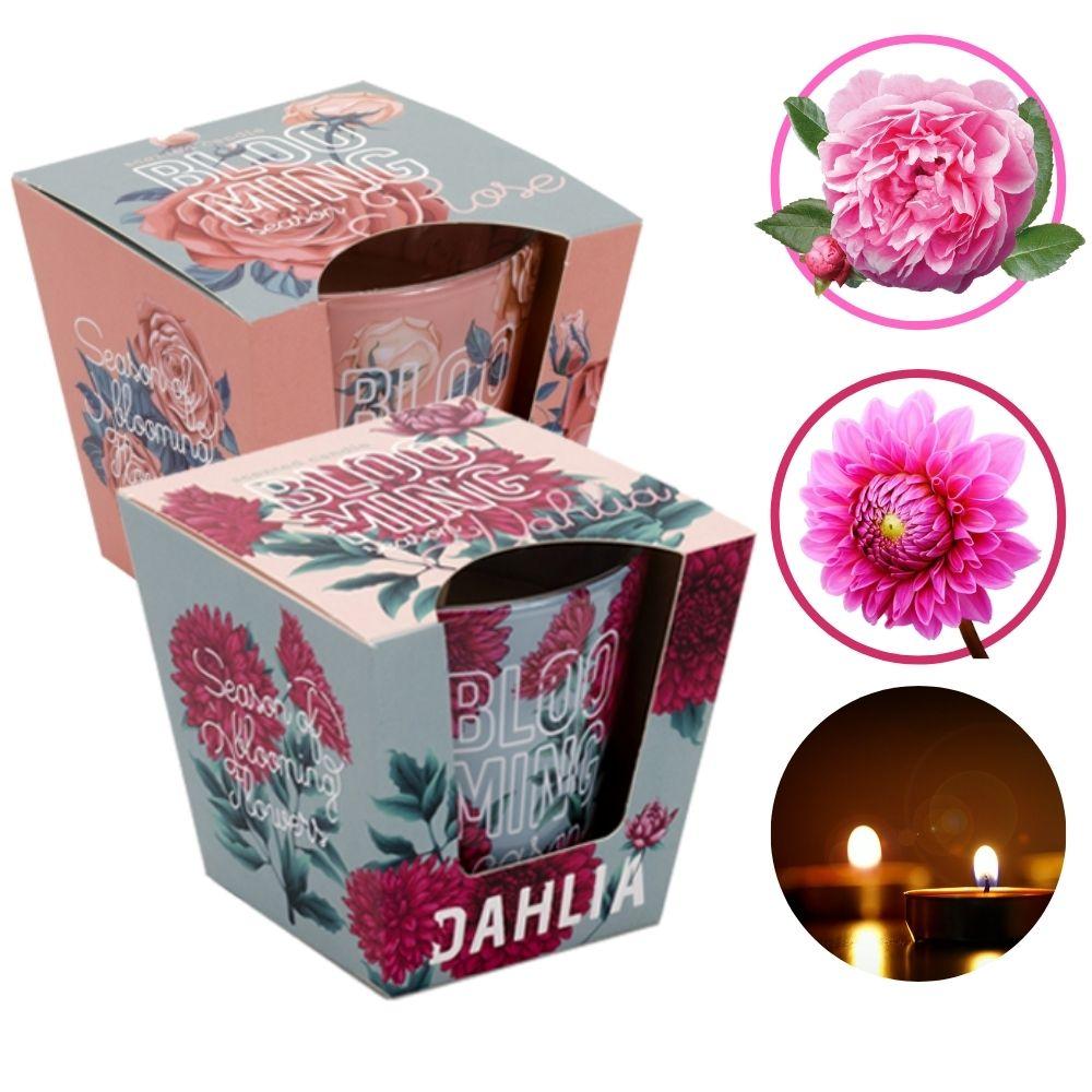 Combo 2 ly nến thơm Bartek nhập khẩu Châu Âu Blooming Season 115g - hồng, thược dược