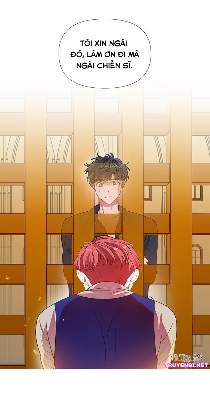 elizabeth chapter 13 19