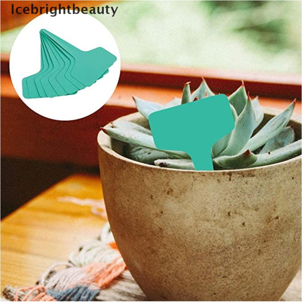 Icebrightbeauty 20pcs/set Garden Planter Kit Succulent Planting DIY Transplant Gardening Tools VN