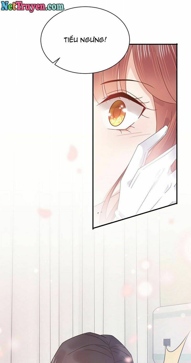 thịnh thế điềm sủng: cô vợ nhỏ đáng yêu của dịch thiếu chapter 36 16