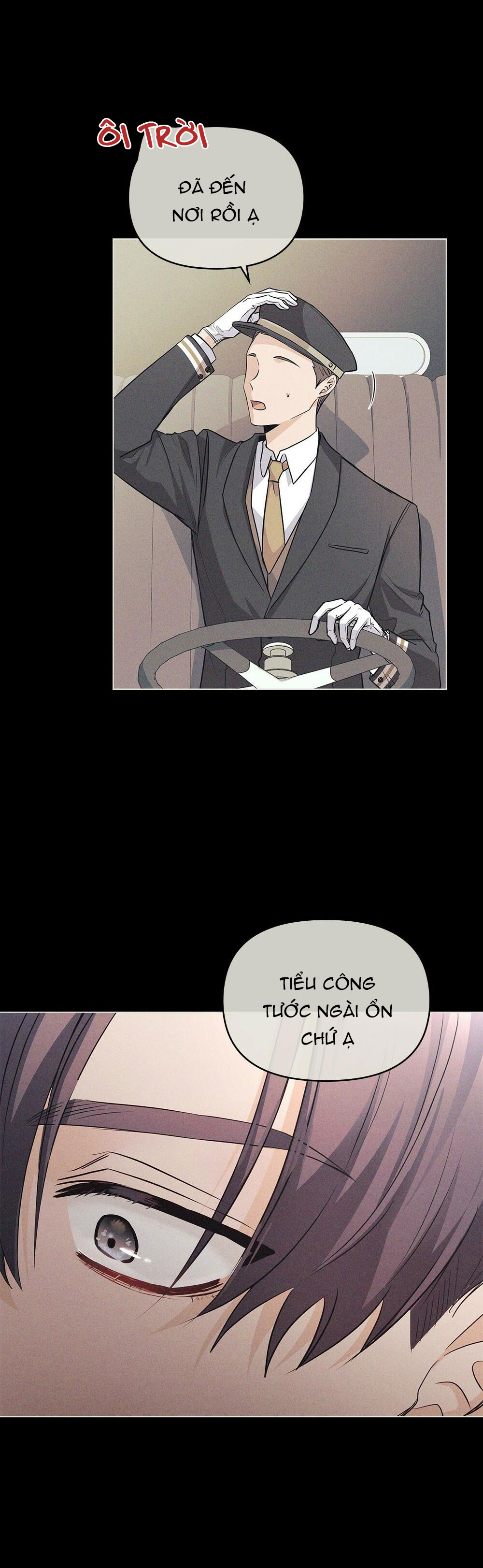 đi tìm nàng camellia chapter 27 45