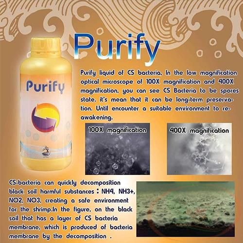 Vi sinh nước SL-Aqua Purify Nitrifying Bacteria xử lý làm trong nước diệt sán thủy tức bể cá tép thủy sinh