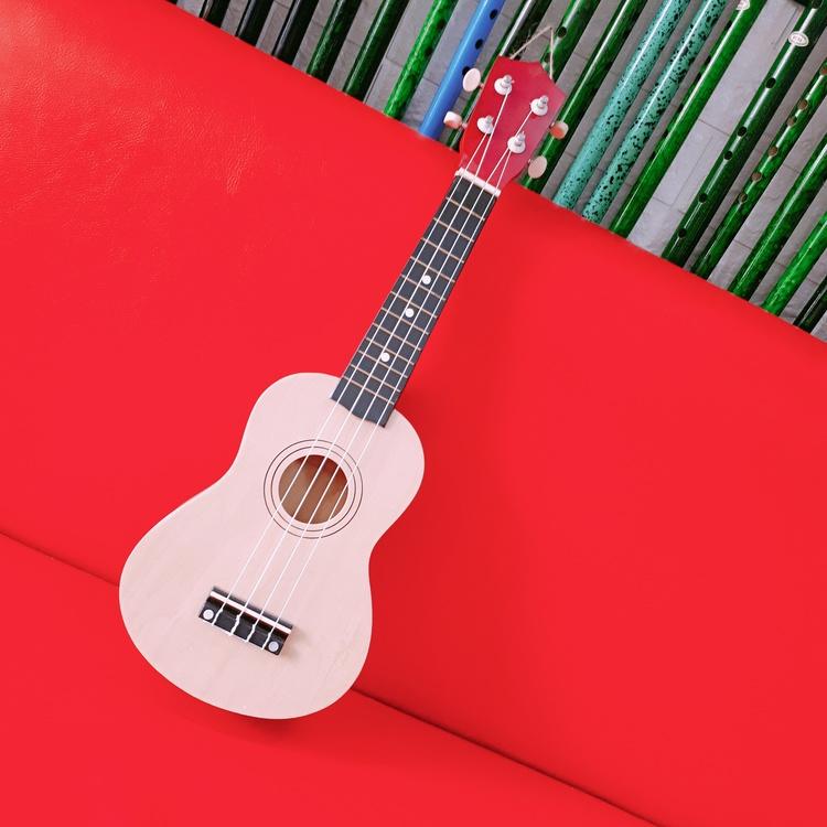 Đàn ukelele nhiều màu sắc đáng yêu