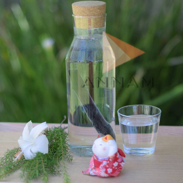 Than cây lọc nước binchotan