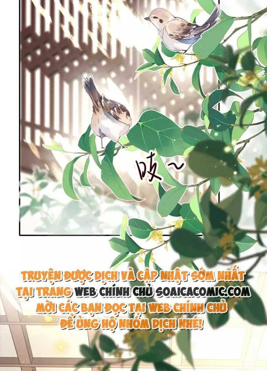 tướng quân, bổn phi không nhận sủng chapter 37 1