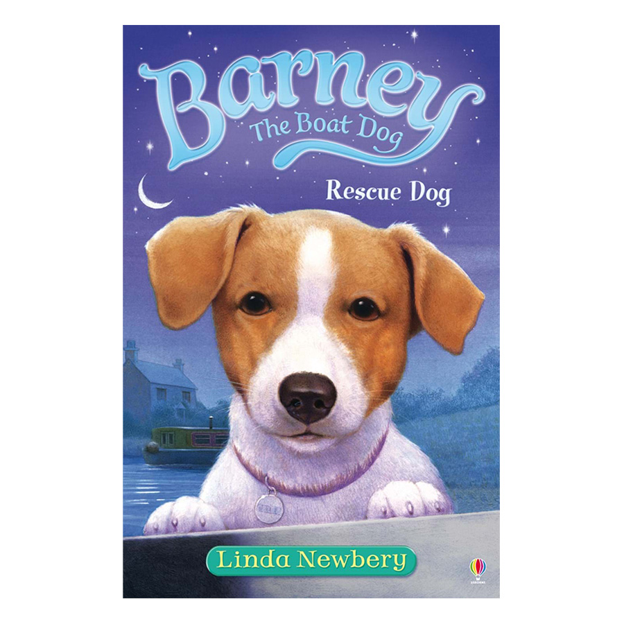 Usborne Young Fiction Barney the Boat Dog: Rescue Dog