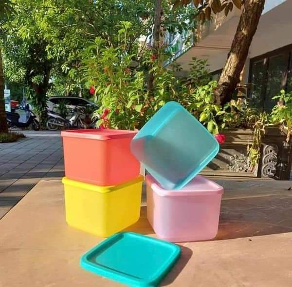 Bộ Hộp Bảo Quản Tupperware Medium Square Round. Hàng chính hãng