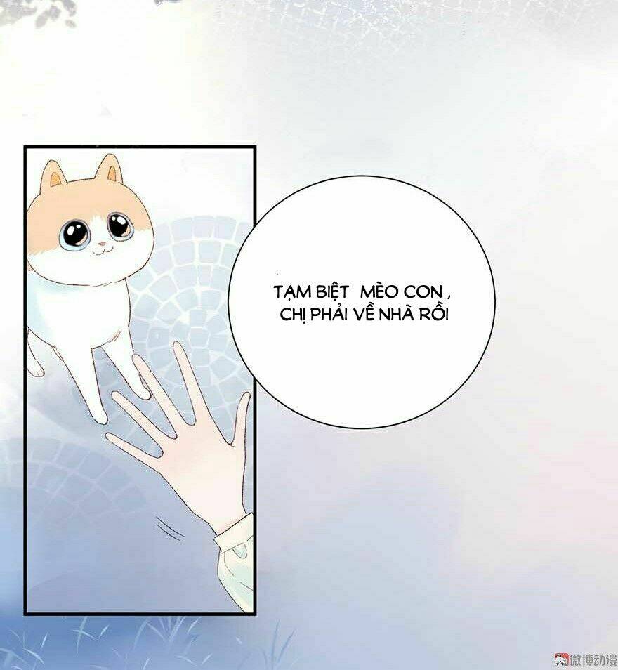 tra nam cút ra chapter 5 17