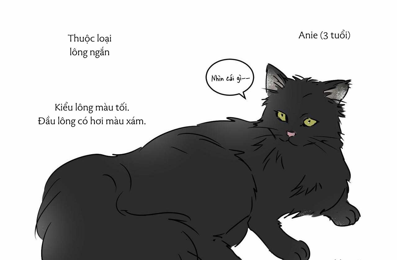 chàng giao pizza và gold palace chapter 32.5 39