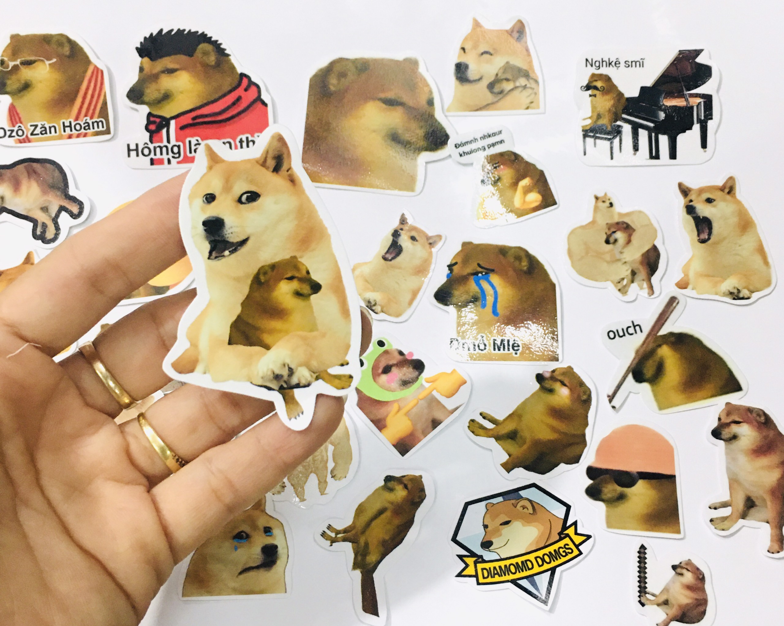 sticker set 100 ảnh Cheems ( mẫu gioa ngẫu nhiên )