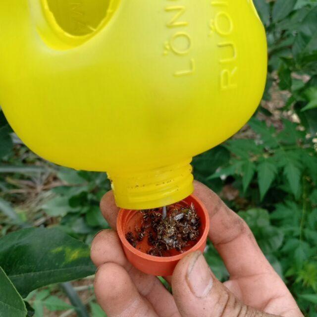 Lồng bay ruồi vàng,bây ông sét 5 hộp