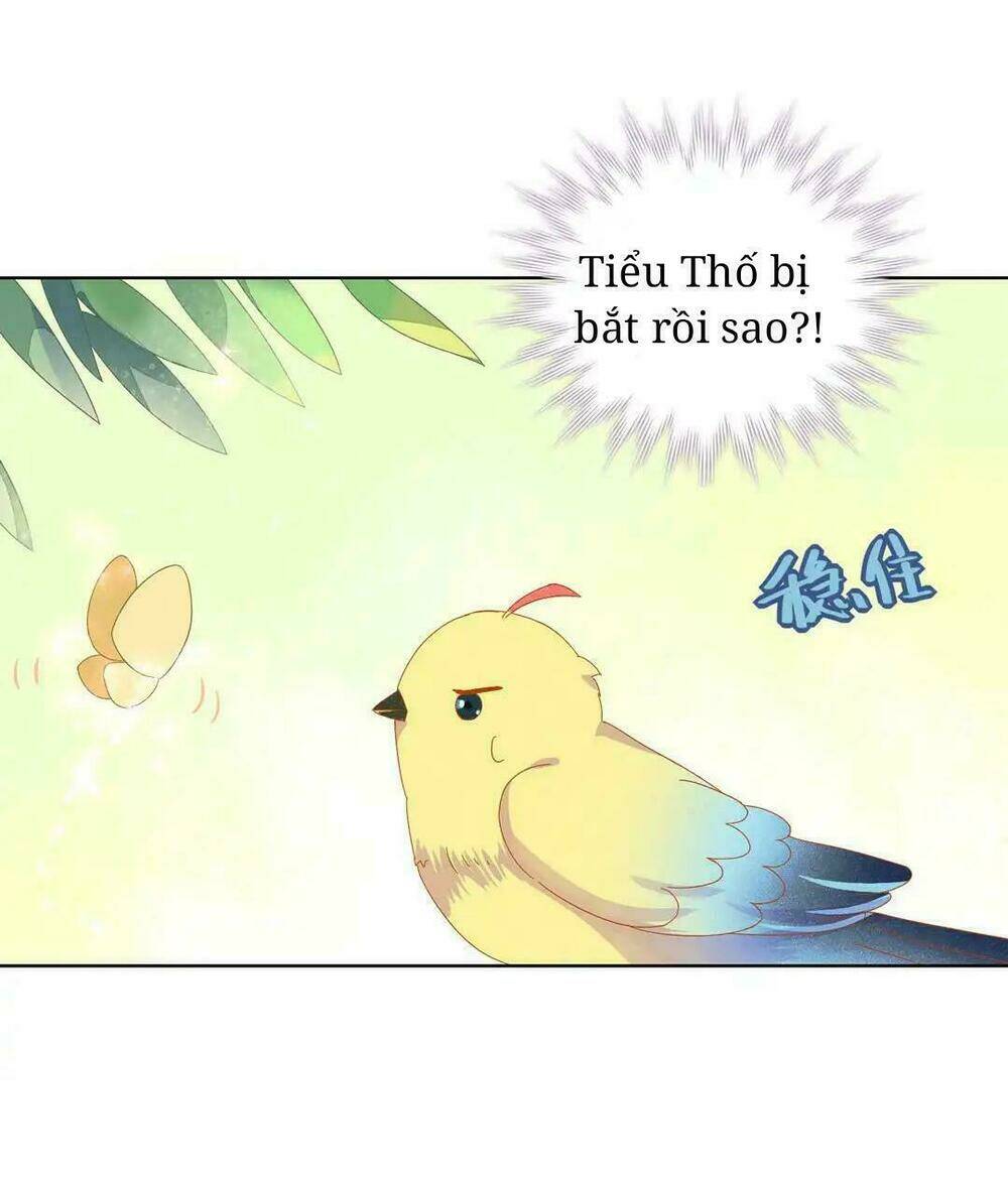 phi thiên địch tự dưỡng đích khẩu tử chapter 13 5