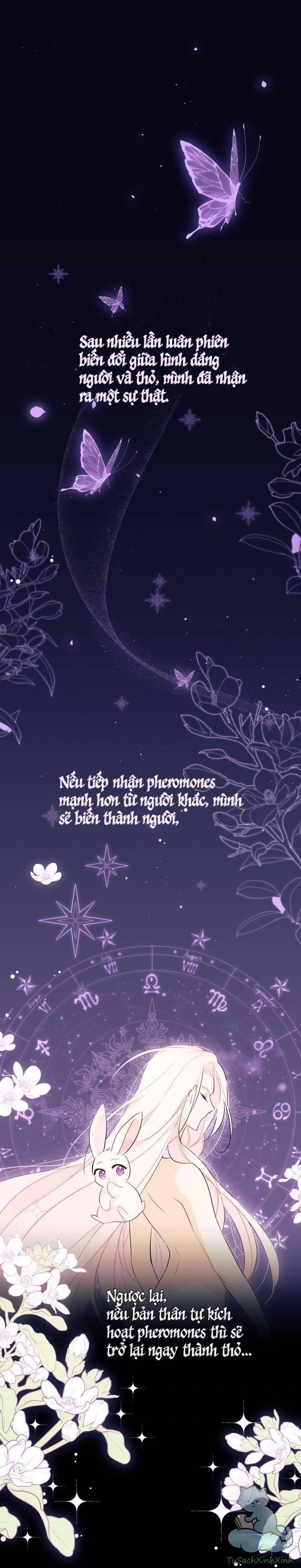 quan hệ cộng sinh giữa báo đen và thỏ trắng chapter 44 1