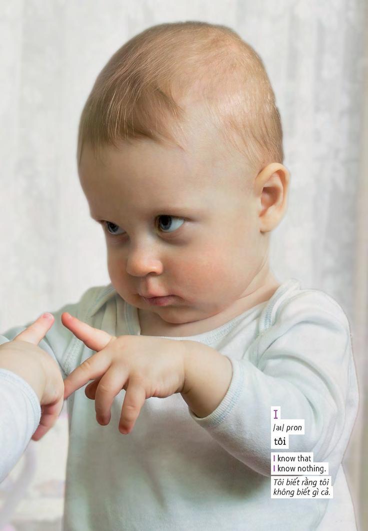 Sách Học Tự Vựng Tiếng Anh Qua Hình Và Ví Dụ Minh Họa