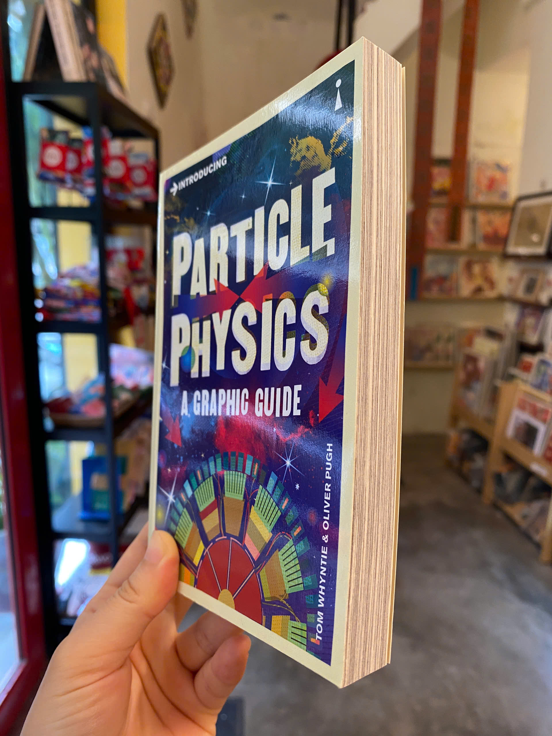 Sách - Introducing Particle Physics: A Graphic Guide by Tom Whyntie | Science / Nonfiction